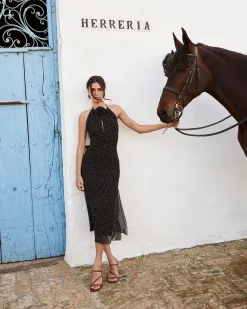 Sandalia Regina